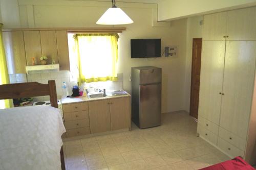 a kitchen with a sink and a refrigerator at Villa Romantza in Fiskardho