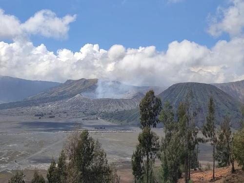 a view of a valley with trees and mountains at Elen Homestay by ABM in Bromo