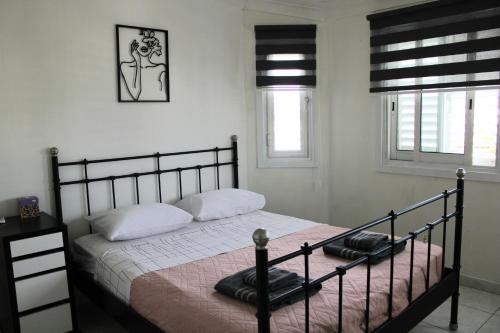 a bedroom with a bed and two pillows on it at Trudy's home in Nicosia