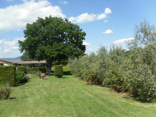 a garden with a tree and a chair at Agriturismo il Giardino in Saturnia