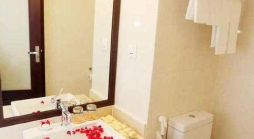 a bathroom with a sink and a mirror and a toilet at Lenid Hotel Tho Nhuom in Hanoi