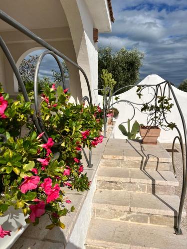 a set of stairs with pink flowers on them at Casa MARESOLE in Mattinata
