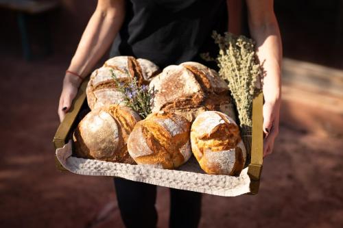 a woman is holding a box of bread at eumelia organic agrotourism farm in Goúvai