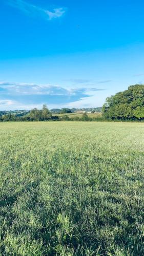 a large field of grass with trees in the background at The Loft at Crown Cottage in Clifton upon Teme