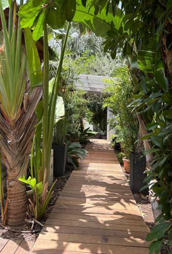 a wooden pathway through a garden with plants at Kesem Bagolan in Had Nes