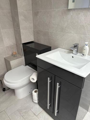 a bathroom with a white sink and a toilet at Cosy flat with sea View in Brighton & Hove