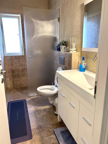 a bathroom with a toilet and a sink and a mirror at לארח, זה בטבע שלנו in Kefar Blum