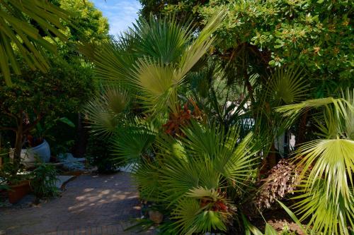 a bunch of palm trees in a garden at La Garoupe-Gardiole Boutique Hotel in Antibes