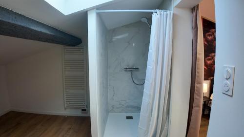 une salle de bain avec une douche avec un rideau de douche dans l'établissement COSY APPARTEMENT 1 CHAMBRE l Netflix l Terrasse, à Castres