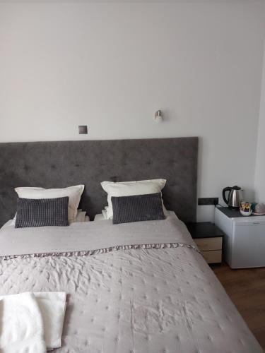 Postel nebo postele na pokoji v ubytování Guest house Skabrin