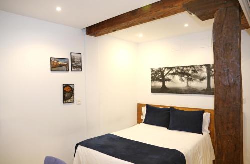 un dormitorio con una cama en una habitación en Baps Apartments, en Bilbao