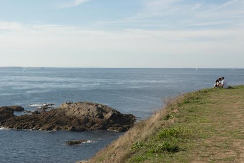 two cows sitting on a hill near the ocean at Hostellerie de la Pointe Saint-Mathieu - SPA & Restaurant in Plougonvelin