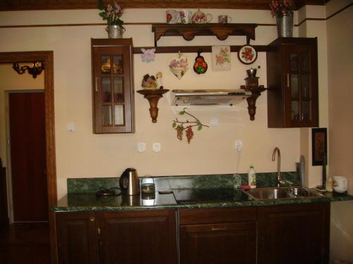 Kjøkken eller kjøkkenkrok på Victoriański 15 & Antyczny 16