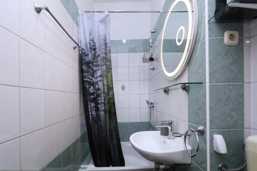 a bathroom with a sink and a shower at Apartments Villa Flamingo in Makarska