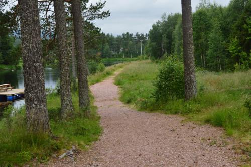 a dirt trail next to a river with trees at 16 - Fulufjellets nasjonalparker - snø - alpint - langrenn - snøscooter in Ljørdal
