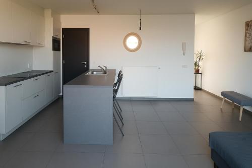 Kuchyň nebo kuchyňský kout v ubytování Appartement boom 2,1 km van tomorrowland