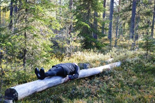 a person laying on top of a log in a forest at 16 - Fulufjellets nasjonalparker - snø - alpint - langrenn - snøscooter in Ljørdal