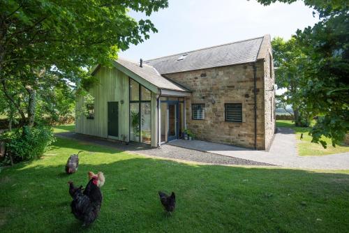 a group of chickens standing in the grass in front of a building at Vesta View in Hexham