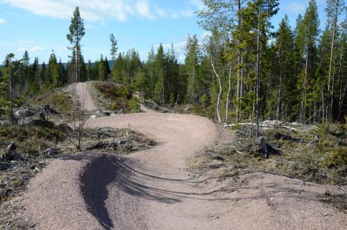 a dirt road in the middle of a forest at 16 - Fulufjellets nasjonalparker - snø - alpint - langrenn - snøscooter in Ljørdal