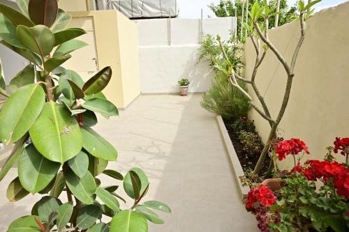 Taman di luar Enb city Apart