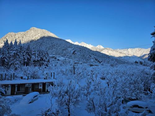 Gallery image of Hotel Old Manali-Mountain View, Balcony, Garden, Pet Friendly, Parking in Manāli