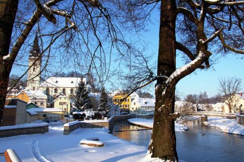 a snow covered city with a river and a tree at Hotel Jean-Paul in Schwarzenbach an der Saale