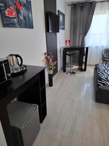 Χώρος καθιστικού στο Ovidiu relaxing residence