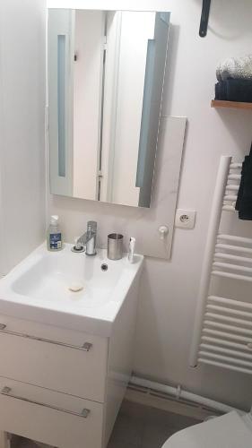 une salle de bain avec un lavabo blanc et un miroir dans l'établissement 2 pièces à Montmatre, à Paris
