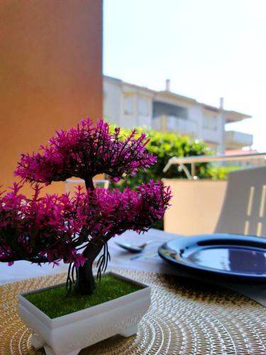 Novalja apartment Riki