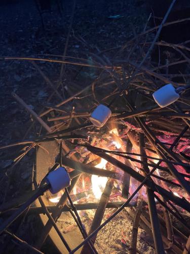 a fire with a bunch of sausages around it at La maison du Manoir 1900 in La Ferté-Gaucher