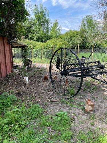 a group of chickens standing around an old wagon at La maison du Manoir 1900 in La Ferté-Gaucher