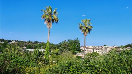 Paesaggio naturale nelle vicinanze della casa vacanze