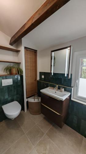 une salle de bain avec un lavabo, des toilettes et un miroir dans l'établissement Jolie Maisonnette vençoise, à Vence