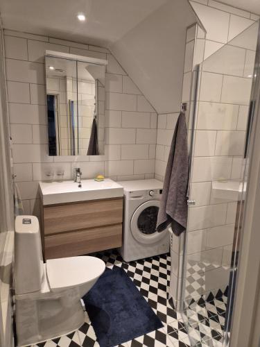 a bathroom with a toilet sink and a washing machine at Apartment in central Öregrund in Öregrund