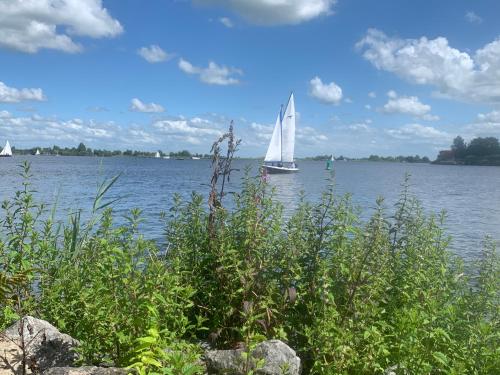 a sailboat on a large lake with a blue sky at Het Poort'vakantie'Huis in Grou