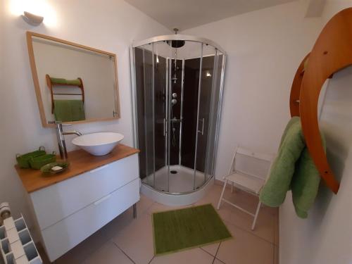 une salle de bain avec douche et lavabo dans l'établissement CHARMANTE PETITE MAISON BRETONNE T1bis vue mer et nature, à Plougonvelin