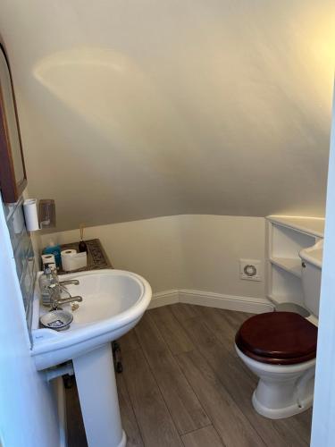 un bagno con lavandino e WC di The Millers Cottage a Cambridge