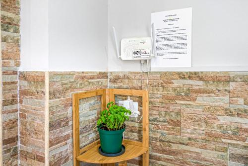 a plant in a pot on a shelf in a bathroom at Accogliente e moderno Bivani a 2 minuti a piedi dalla spiaggia-centro con parcheggio riservato in Giardini Naxos