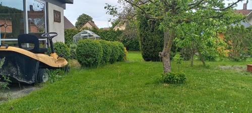 a yard with a tree and a bulldozer at Jenny's Guest House in Kristianstad