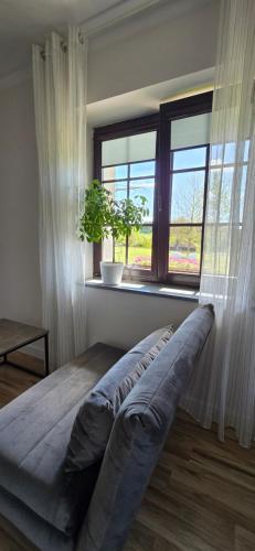 a bedroom with a bed in front of a window at Gościniec Husarski in Sandomierz