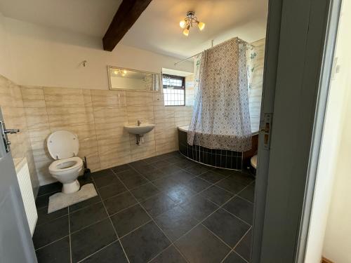 ein Badezimmer mit Toilette und Waschbecken in der Unterkunft Bethel Cottage in Oulton