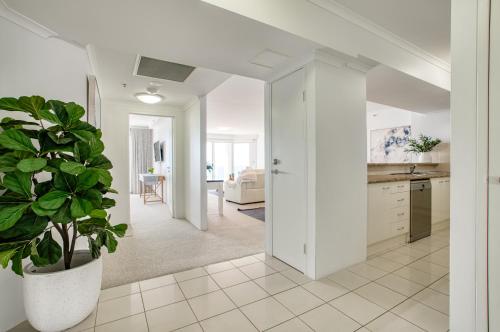 a kitchen and living room with a potted plant at Xanadu Resort in Gold Coast