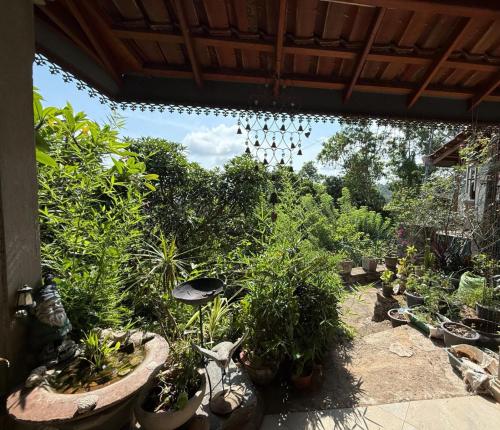 a patio with a bunch of plants and a chandelier at Namadi heights Bungalow in Kandy