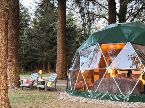 Φωτογραφία από το άλμπουμ του High Moor Glamping σε Jalhay
