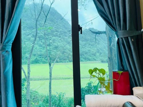 a window with a view of a green field at Hieu-Homestay in Phong Nha