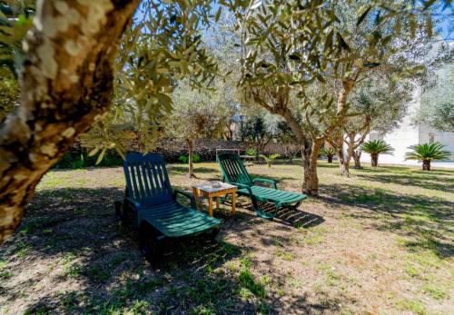 two green chairs and a table in a park at Calafato Guest House in Favignana
