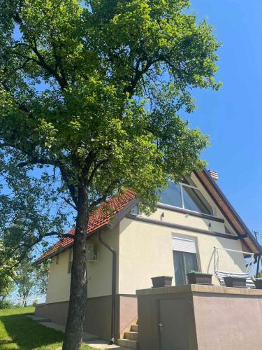 a house with a tree in front of it at Vikendica Živković in Lazarevac