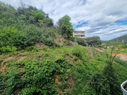 une maison au sommet d'une colline avec des buissons dans l'établissement Appartement entre mer et montagne, à La Celle-sous-Gouzon