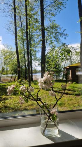 a vase with pink flowers sitting on a window sill at Māja pie ezera in Stacija Aglona