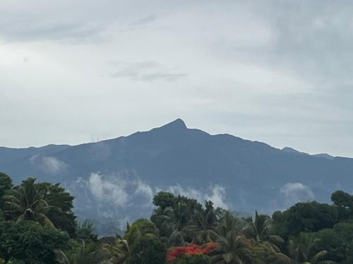 a mountain in the distance with palm trees and mountains at Blue Pillars Kandy in Kandy